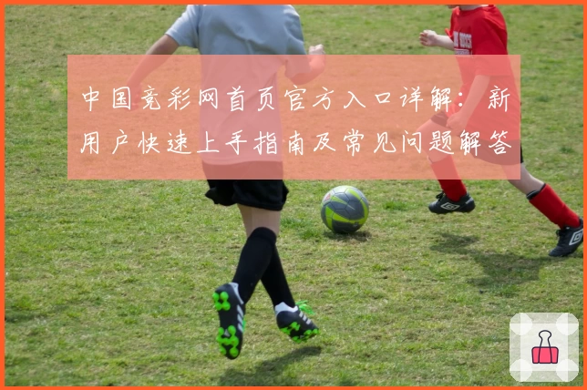 中国竞彩网首页官方入口详解：新用户快速上手指南及常见问题解答