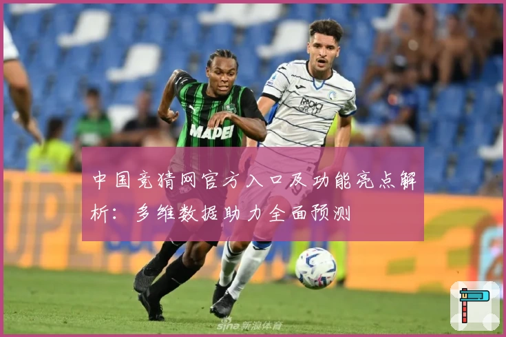 中国竞猜网官方入口及功能亮点解析：多维数据助力全面预测