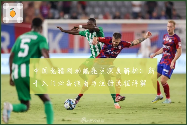 中国竞猜网功能亮点深度解析：新手入门必备指南与注册流程详解
