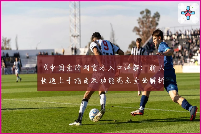 《中国竞猜网官方入口详解：新人快速上手指南及功能亮点全面解析》