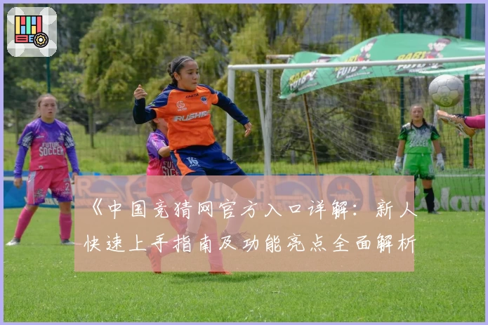 《中国竞猜网官方入口详解：新人快速上手指南及功能亮点全面解析》